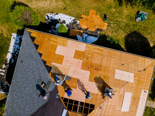 Quick and Trustworthy Emergency Roof Repair Services in Lumberton, TX